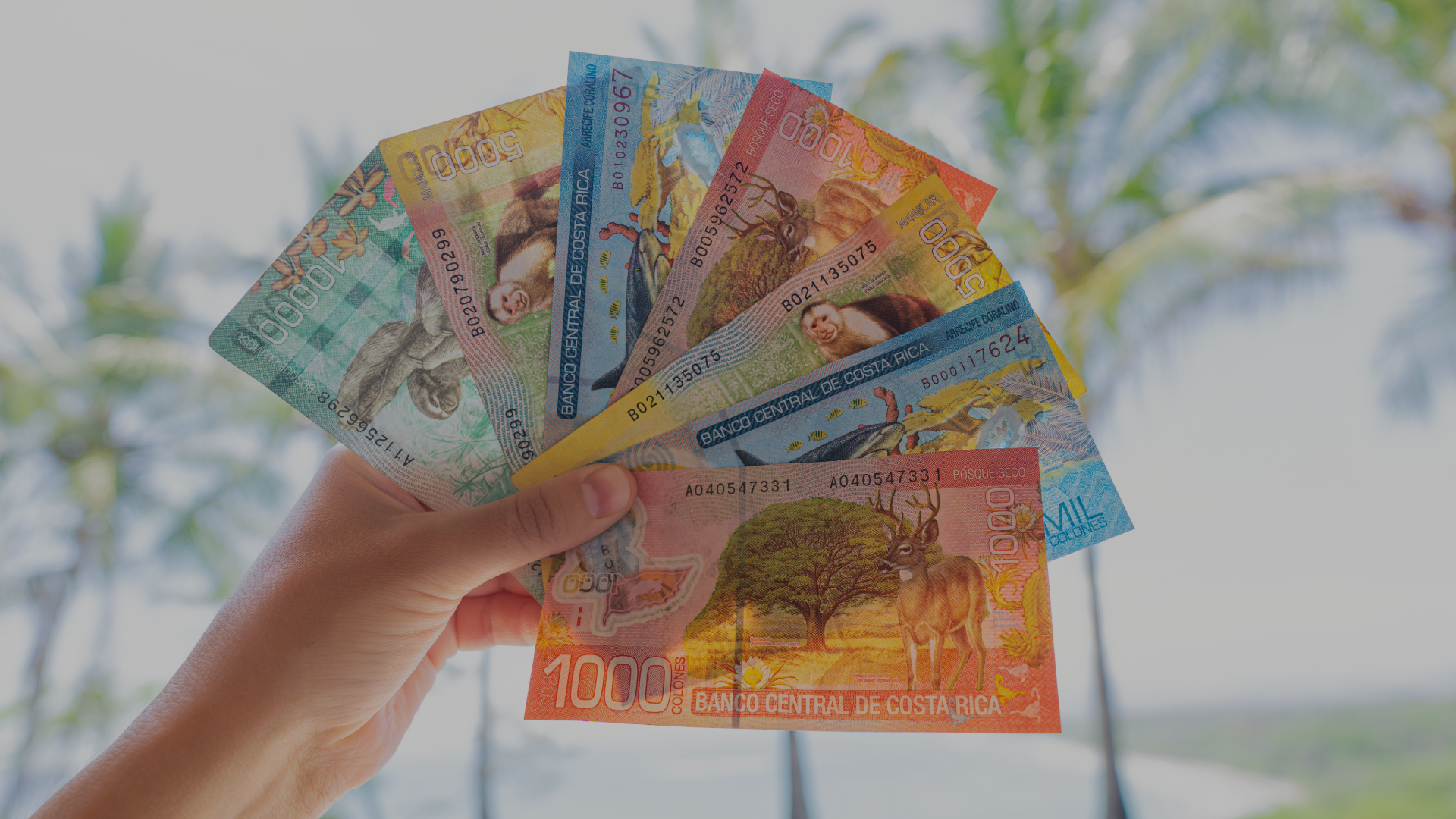 Unternehmensgründung in Costa Rica