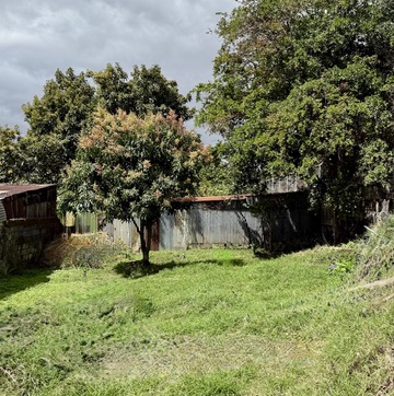 Grundstück San José
